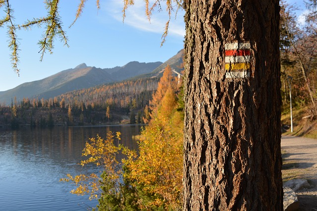 Vysoké Tatry